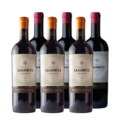 WINEMAKER SERIES - CAJA MIXTA - THE BLEND & WILD CARMENERE - CAJA 6 BOT.